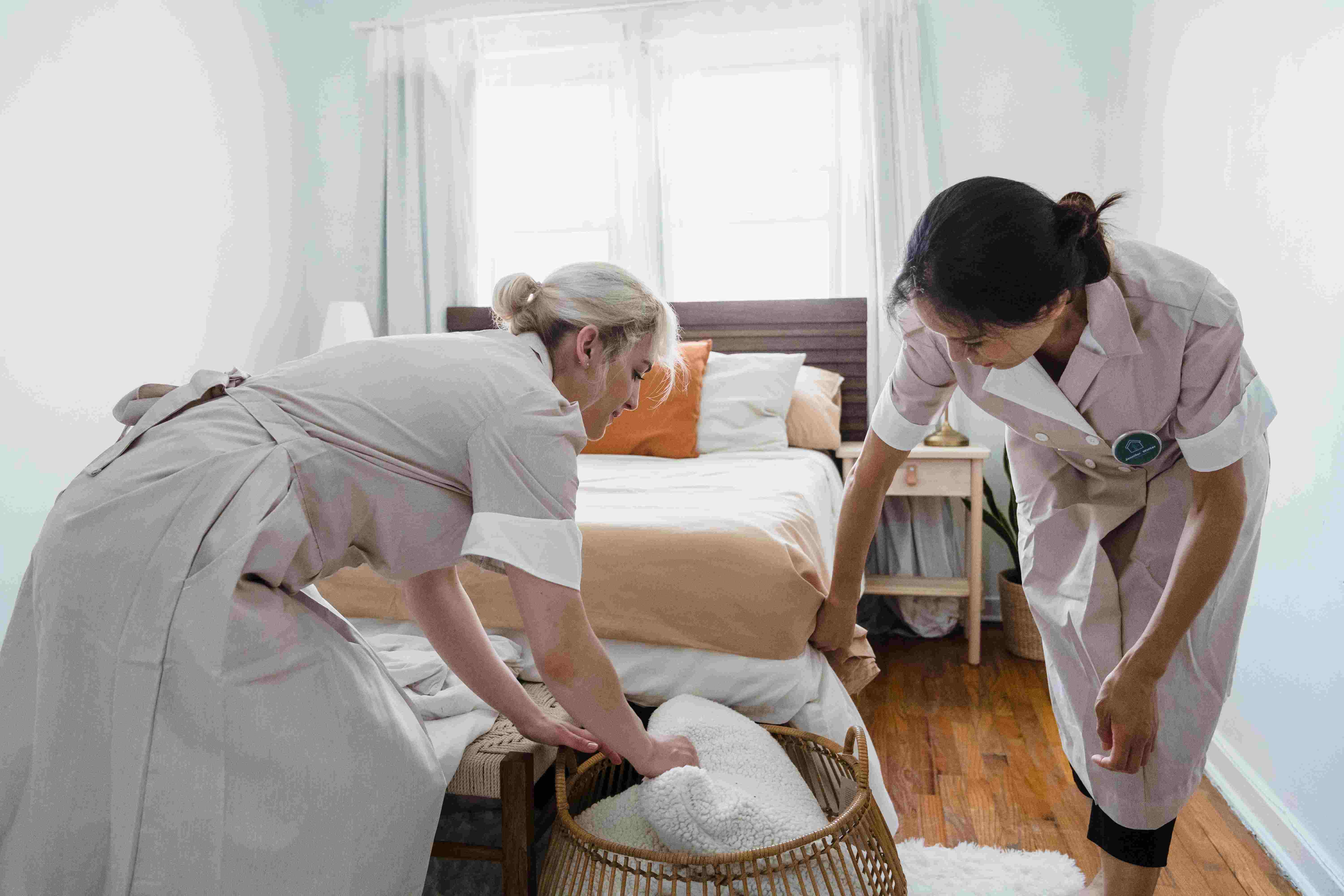 Professional Housekeeper